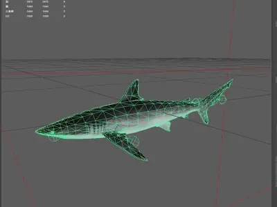 Shark Low-poly 3D model