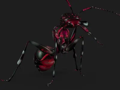 Ant-A3 3D model