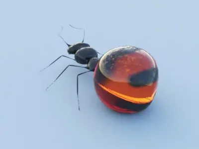 Honey Ant 3D model