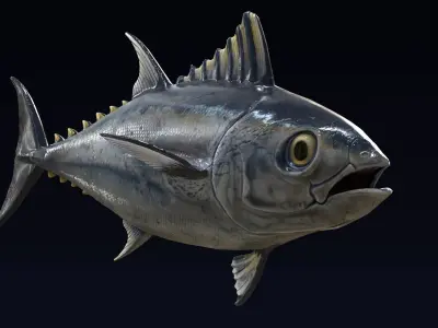 Bluefin Tuna Fish low poly Low-poly 3D model