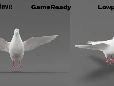 Columbidae White Dove Bird Low-poly 3D model
