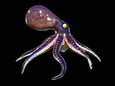 Awesome Squid 3D model