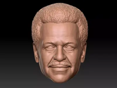 Shepherd Derrial Book 3D print model