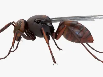 4K Honey Bee Low-poly 3D model