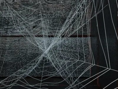 Spiderweb for shelves 3D model