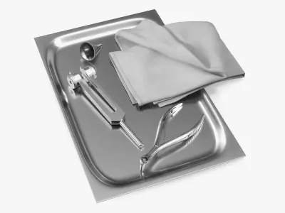ENT Diagnostic Instrument Tray Stainless 3D model
