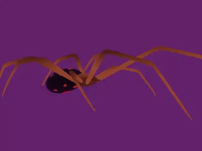 Red Widow Spider Low-poly 3D model