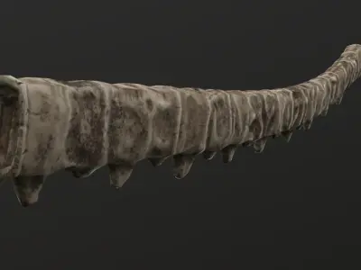 Bone Katana Low-poly 3D model