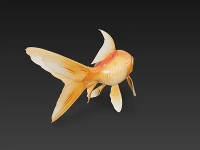 Goldfish 3D Model Basic - Low Poly Simple Low-poly 3D model