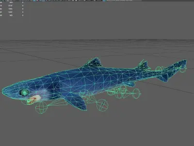 Cookiecuttershark Low-poly 3D model