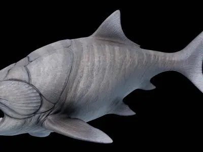 Dunkleosteus Asset Pack Low-poly 3D model