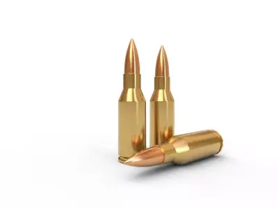 300 Olympic SSM Ammo Low-poly 3D model