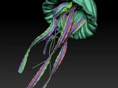 Jellyfish Deep Ocean Creature Base Mesh 3D model