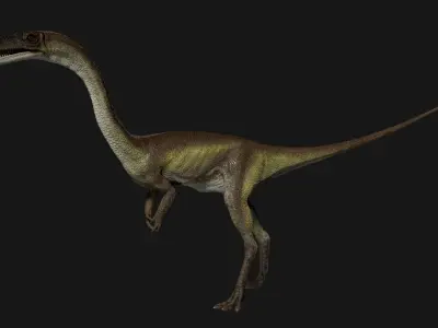 Coelophysis dinosaur Low-poly 3D model