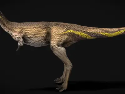 Mononykus Low-poly 3D model