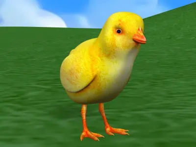 Chick bird 3D print model