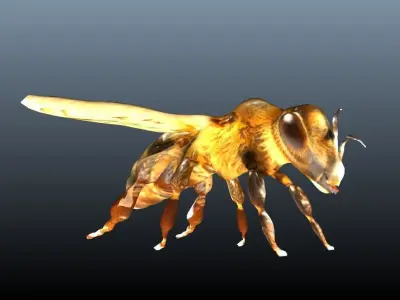 honey bee lowpoly Low-poly 3D model