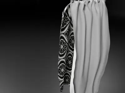 Shower Curtain Free 3D model