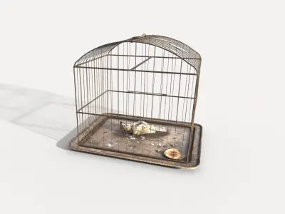 Old Bird Cage and  Bird 3D model