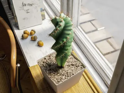  Spiral Cactus Potted Plant Model 