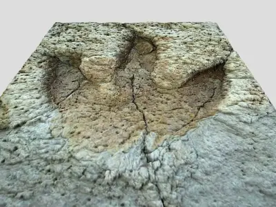 Tyrannosaurus Rex Footprint - fossil-dinosaur-3D Printing 3D model