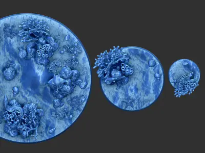 FREE - 4 SEABED MINIATURE BASES 25mm 50mm 100 mm 3D Print Ready Free 3D print model