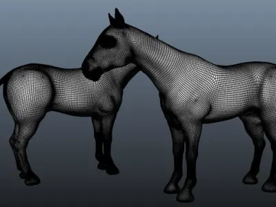 Horse Base Mesh 3D model