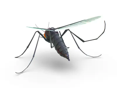 High Poly Big Realistic Mosquito Low-poly 3D model