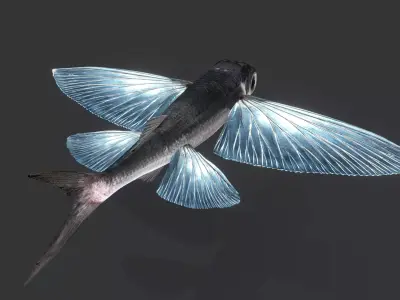 Realistic Flying Fish Animated 3D model