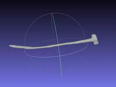 Psittacosaurus Anterior Cervical Rib Mirrored Free 3D print model