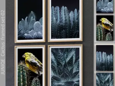 JUNIQE Cactus framed set-02 3D model