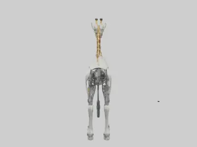 Robot version of a robot giraffe model Low-poly 3D model