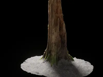Forest Tree Stump 4K -Part11- Free low-poly 3D model