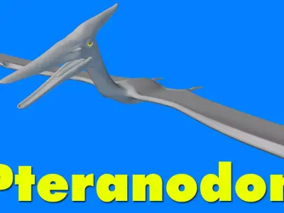 Pteranodon dinosaur flying 3D model
