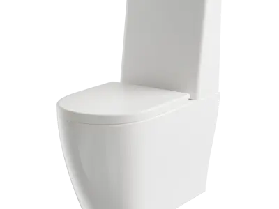  One-Piece Toilet Model 