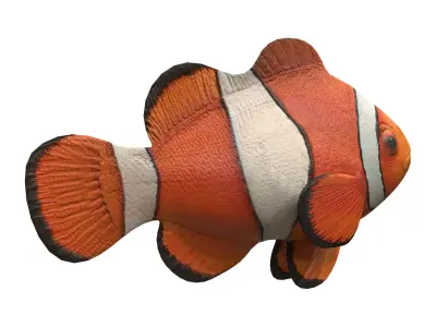 clown fish Low-poly 3D model