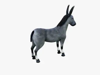 Donkey Free 3D model