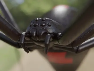 Black widow Low-poly 3D model