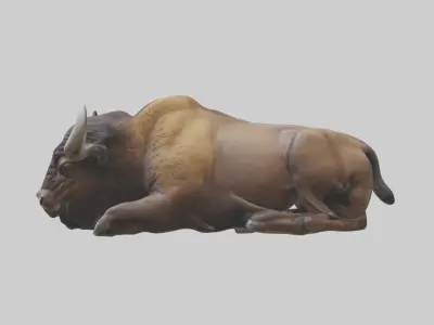 Lying Bison Model 1 Low-poly 3D model