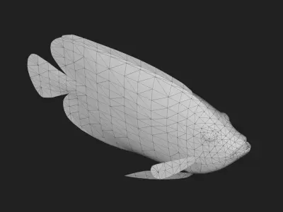 Angelfish Low-poly 3D model