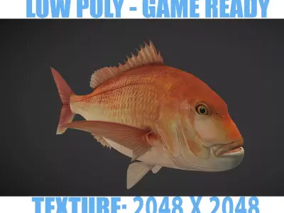 Carp 01 Low-poly 3D model