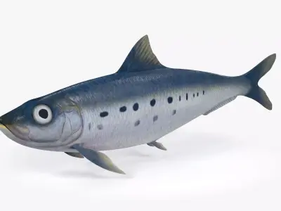 Sardine Fish Low-poly 3D model