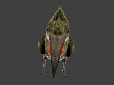 lowpoly bird kingfisher Low-poly 3D model