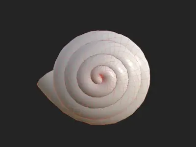 shell 3D model