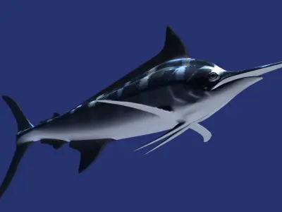 Marlin fish flying 3D model
