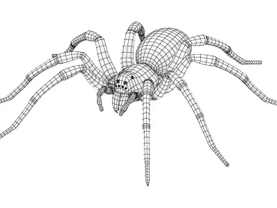 Wolf Spider Low-poly 3D model