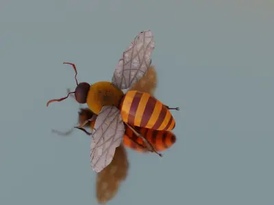 Honey Bee Fairly Realistic Low-poly 3D model