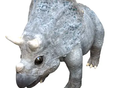 Triceratops Baby 3D Rigged model Low-poly 3D model