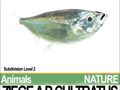 Ziege A animals ap cultivatus 3D model