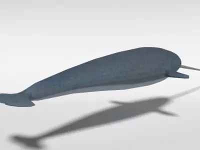 Low Poly Cartoon Narwhal Low-poly 3D model